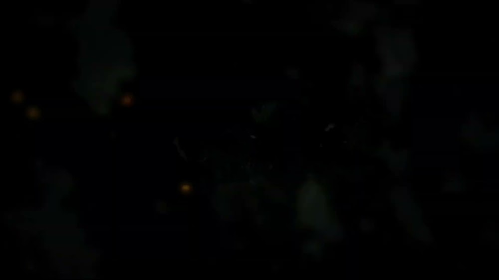 Animation clip animation still
